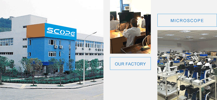 Our-Factory